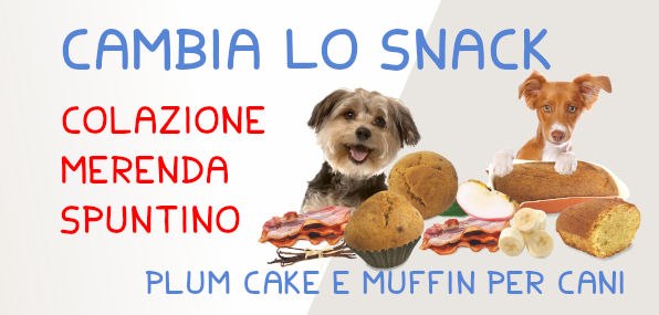 Snack per cani