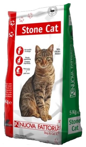 Stone Cat · 5 kg